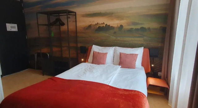 Номер Standard Dormio Wijnhotel Valkenburg