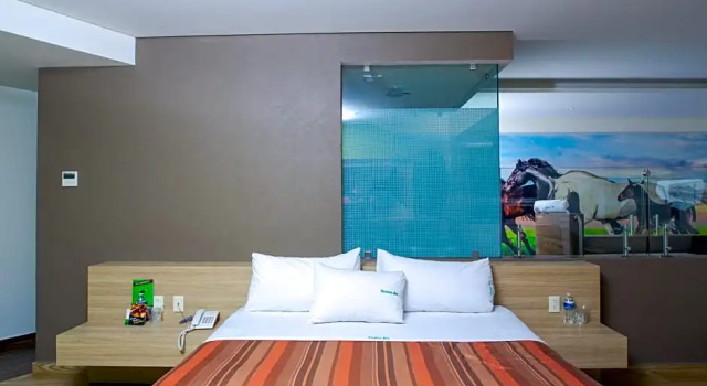 Suite doppia Hotel Xcoco Inn