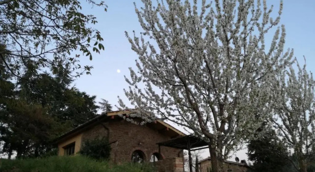 Студия Podere le Muricce