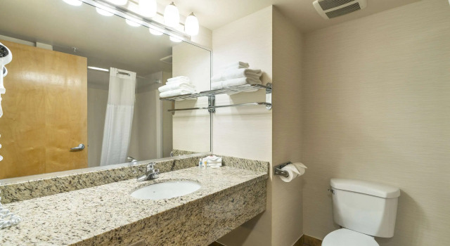 Двухместный номер Standard Comfort Inn & Suites Surrey