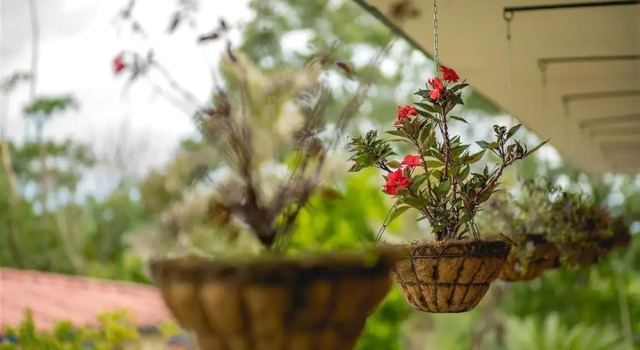Номер Standard Hotel Campestre Tacurrumbi
