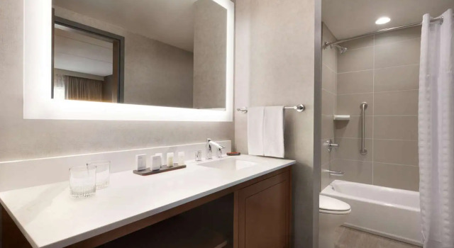 Четырёхместный люкс Premium 2-room Embassy Suites by Hilton Chicago Naperville