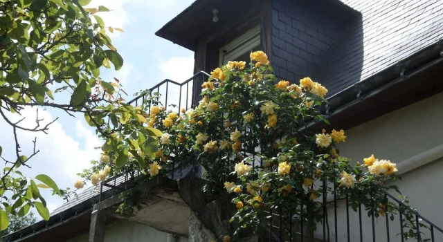 Chambres d'Hotes Du Haut Anjou, Boek Hotel  