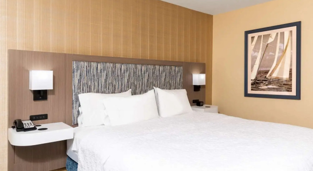 Люкс с балконом Hampton Inn Holland
