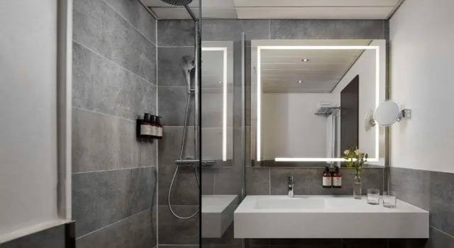 Одноместный номер Standard Avani Frankfurt City Hotel
