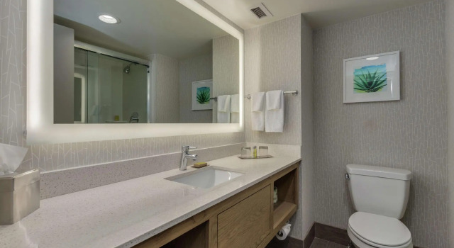 Двухместный номер Standard DoubleTree by Hilton Chandler Phoenix, AZ