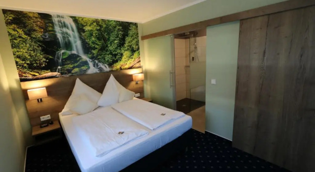 Апартаменты Business c 1 комнатой Hotel Deutscher Hof