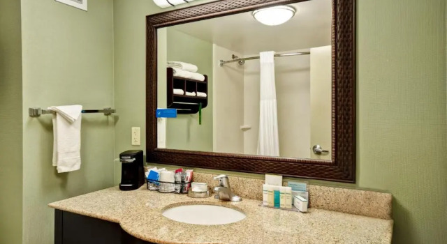 Двухместный номер Deluxe Hampton Inn & Suites Detroit-Canton