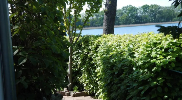 Коттедж Bungalow Idylle Am See