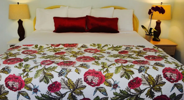 Двухместные апартаменты Standard с красивым видом из окна Sea Turtle Inn