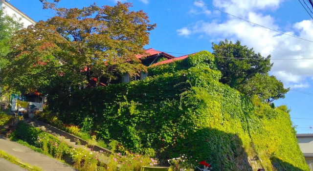 Кровать в общем номере (женский номер) The Otaornai Backpackers Hostel Morinoki