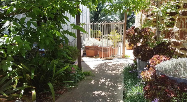 Коттедж c 1 комнатой Little Para Cottage Tanunda