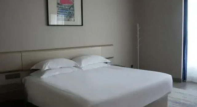 Люкс Business Jiaxing Olympic Hotel