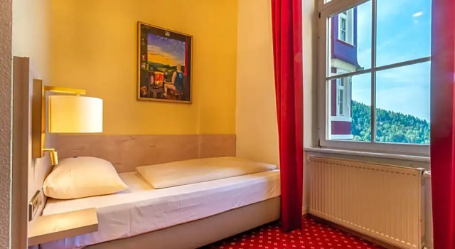 Номер Standard Hotel Schloss Hornberg