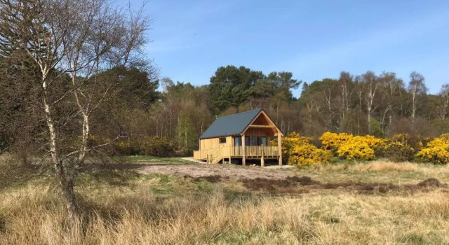 Шале Birdwatchers Cabin