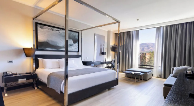 Двухместный полулюкс Wyndham Santiago Pettra