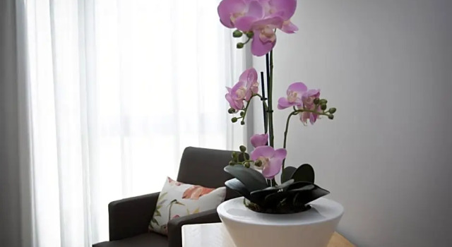 Номер Superior Hotel Novoa