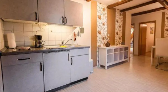 Апартаменты c 1 комнатой Apartments "Vier Napoleonslinden"