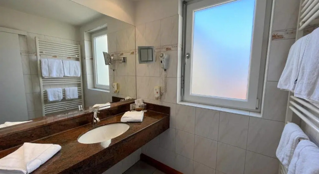 Двухместный номер Standard Atrium Hotel Baden