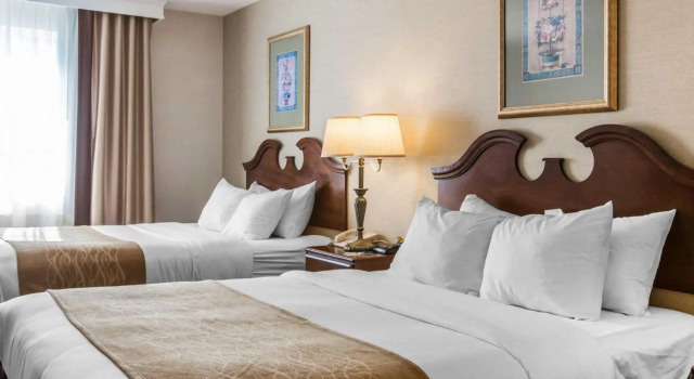 Четырёхместный номер Standard Comfort Inn & Suites East Greenbush - Albany