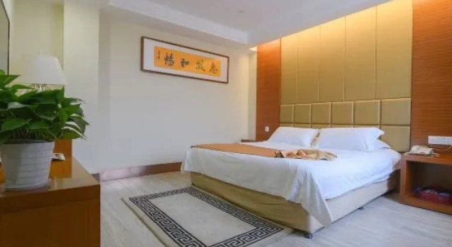 Двухместный люкс Business Double Dragon Holiday Hotel(Anqing Railway Station)