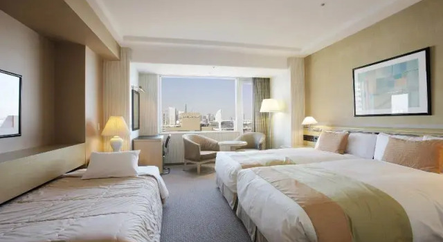 Трёхместный номер Standard с видом на город Hotel New Grand