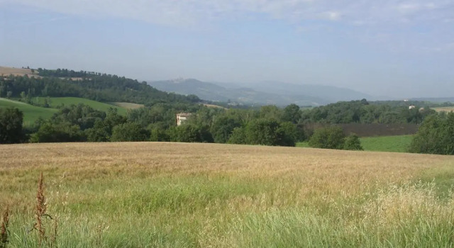 Standard Doppel Zimmer Il Borghetto