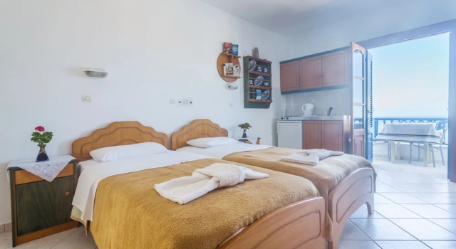 Апартаменты c 1 комнатой с балконом Arhontiko Hotel