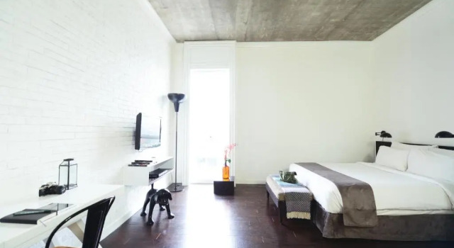 Monolocale Executive Morrissey Hotel