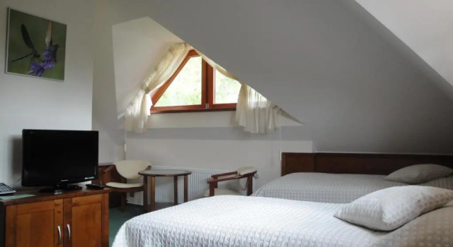Номер Standard Hotel U Parku