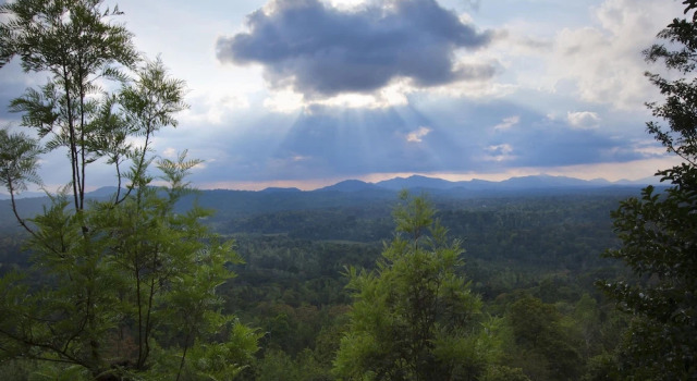 Номер Standard Coorg Cliffs Resort