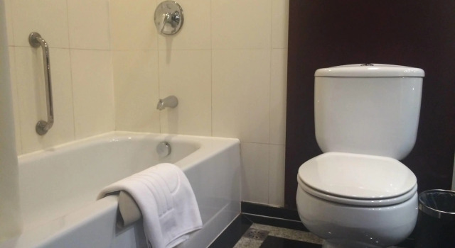 Двухместный номер Deluxe Beijing Poly Plaza Hotel