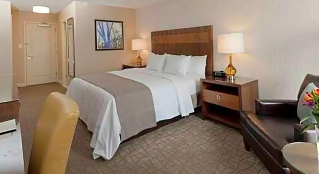 Двухместный номер Oversized DoubleTree by Hilton Pittsburgh-Green Tree