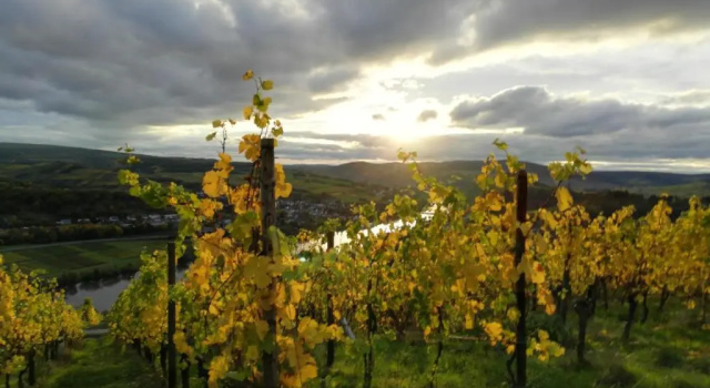 Апартаменты Ferienwohnungen Zum Niederberg mit Balkon und Moselblick