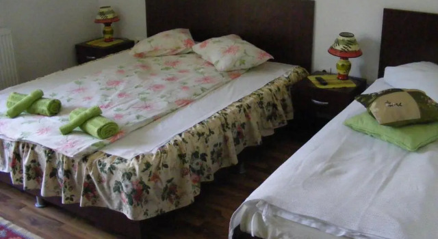 Номер Standard Pensiunea Dorel Codoban