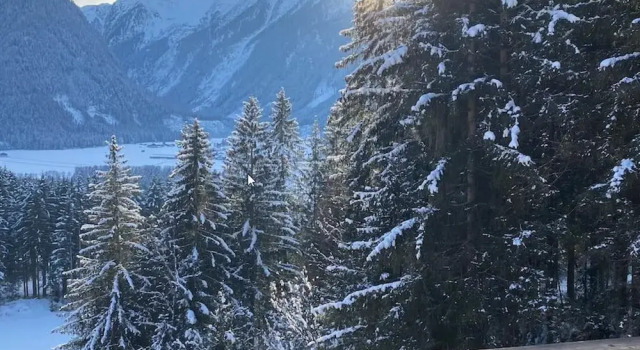 Шале Nationalpark Chalet Larmkogel