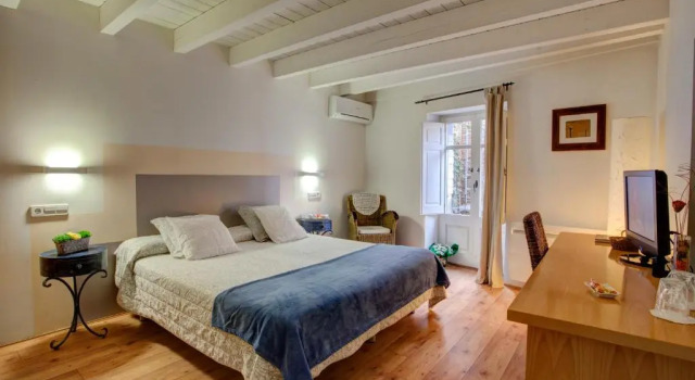 Двухместный номер Superior Hotel La Freixera
