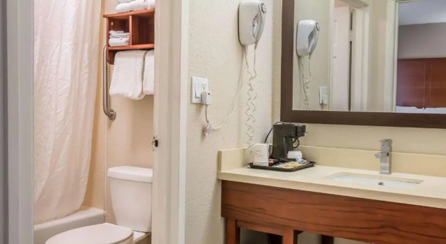 Люкс Comfort Inn Savannah Midtown