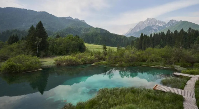 Апартаменты Cozy Apartment in the heart of Kranjska Gora
