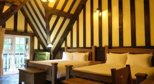 Standaard kamer Senboard Manor