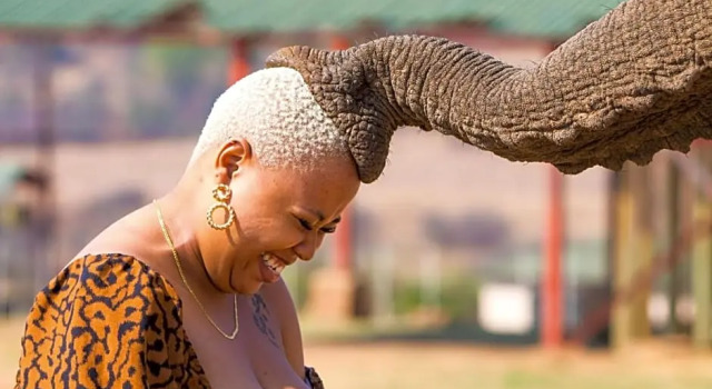 Askari Game Lodge & Spa, Book Ferieresort Resorthoteller i Gauteng, Ferieresort