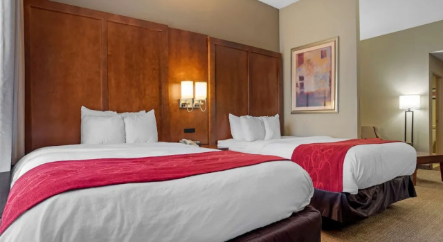 Comfort Suites Oxford, Réserver Hôtel Oxford Alabama