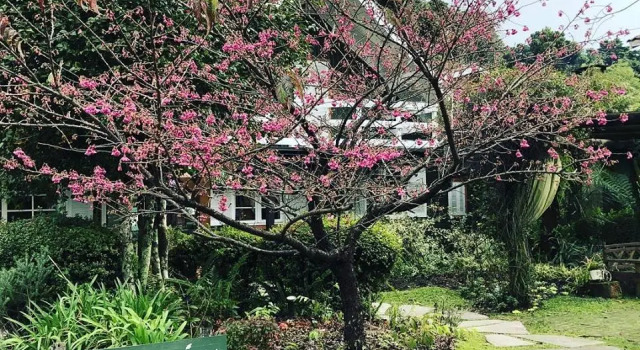 Люкс Luxury Pousada Jardim Secreto