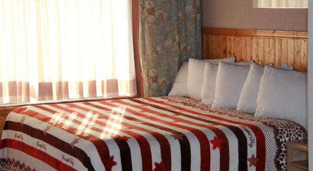 Номер Standard Hotel Motel Bonsoir