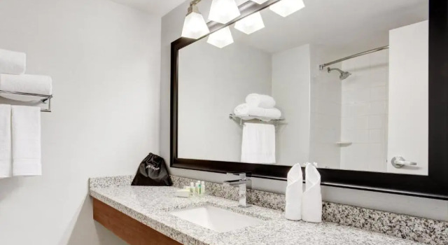 Четырёхместный номер Standard Holiday Inn Ottawa East by IHG