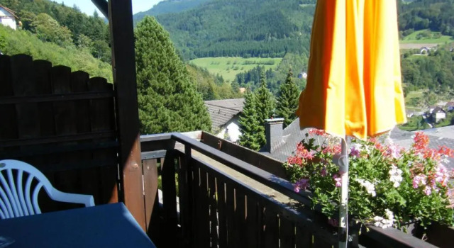 Двухместный номер Standard Hotel Schauinsland