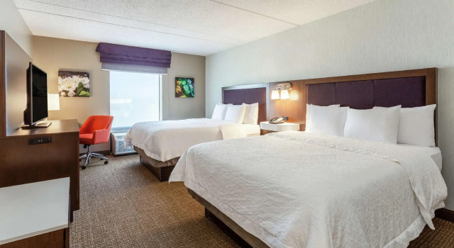 Четырёхместный номер Standard Hampton Inn & Suites Chicago - Libertyville