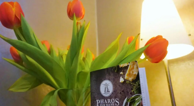 Номер Standard Pharos zur Seeve