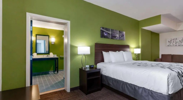 Двухместный люкс Sleep Inn & Suites Tampa South