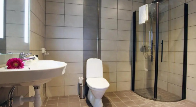Двухместный номер Standard Hotell Hallstaberget